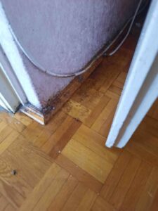 agyi_poloska_irtasa